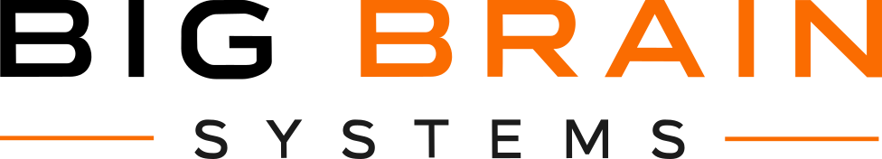 BigBrainSystems